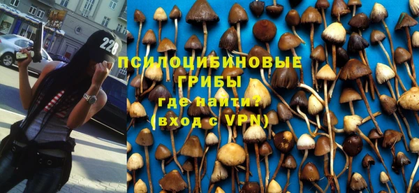 альфа пвп Козловка