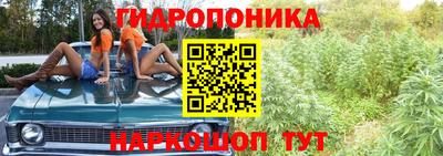 стаф Чебоксары
