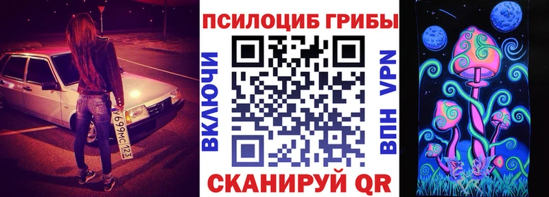 мориарти телеграм  Находка  Галлюциногенные грибы Psilocybe  ссылка на мегу зеркало 