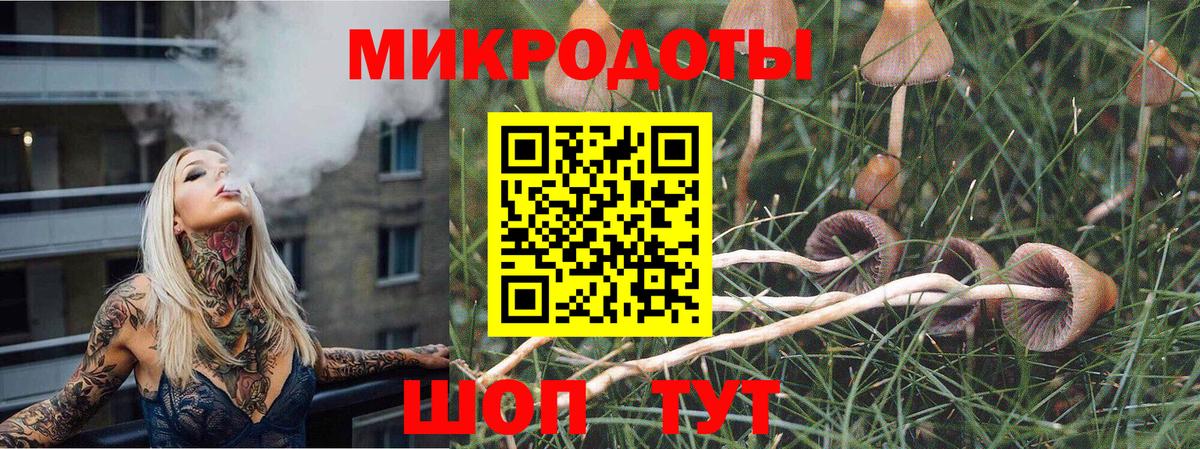 Галлюциногенные грибы прущие грибы Находка